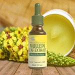 Organic Mullein Extract; Antibacterial Hair Loss Preventer Sunburn Remover