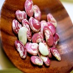 Red Double Beans; Protein Fiber Sources Preventing Cancer