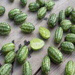Mexican Gherkin Cucumber (Cucamelon) Bright Green Color Juicy Texture