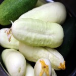 White Round Cucumber; Mild Refreshing Taste 2 Vitamins B C