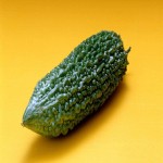 Indian Bitter Cucumber; Brown Yellowish Color Lower Harmful Cholesterol