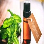 Pure Peppermint Extract; Hot Dry Nature 3 Applications Food Pharmaceutical Cosmetic
