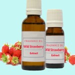 Wild Strawberry Extract; Treating Sporadic Diarrhea 3 Minerals Magnesium Phosphorus Calcium