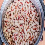 Red Eye Beans; Protein Fiber Sources Increasing Memory Concentration