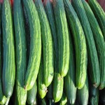 Chinese Long Cucumber (Snake or Serpent Cucumber) Salad Soup Pickle