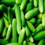 Thai Mini Cucumber (Cucumis Sativus) Removing Body Fatigue Vitamin K Source