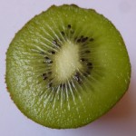 Buy All Kinds of Hardy Kiwi at the Best Price
