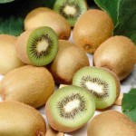 Introduction of Kiwifruits Tree Types + Purchase Price of the Day