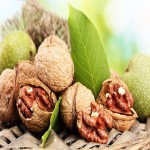 Price and Purchase Green English Walnuts with Complete Specifications