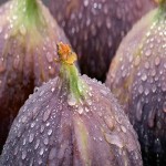 Are Figs Good for Heartburn Relief and Treatment?