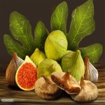 Fig PH Level Is a Determining Factor for Better Growth