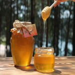 The Price of Bulk Purchase of Local Honey is Cheap and Reasonable