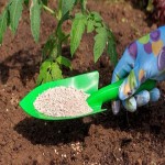 Nano Organic Miracle Fertilizer Specifications and How to Buy in Bulk