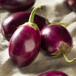 indian Eggplant Buying Guide with Special Conditions and Exceptional Price