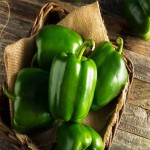 Green bell peppers Specifications and How to Buy in Bulk