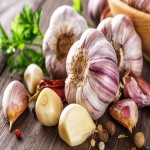 Benefits of Garlic with Complete Explanations and Familiarization