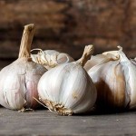 garlic  Buying Guide with Special Conditions and Exceptional Price