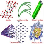 Silica-coated nanocomposites of magnetic nanoparticles and quantum dots