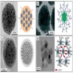 Mesoporous silica coated magnetic nanoparticles fe3o4@msio2