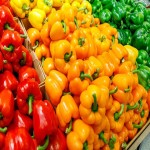 Yellow Bell Pepper Specifications and How to Buy in Bulk