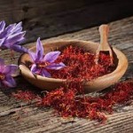 Price and Purchase  ITALIAN Saffron with Complete Specifications