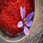 Medicinal plants and saffron Price List Wholesale and Economical