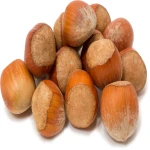Purchase high quality hazelnut in bulk quantity at reasonable price