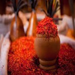 SPANISH Saffron Specifications and How to Buy in Bulk