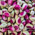 Kaal Pistachio Kernel Specifications and How to Buy in Bulk