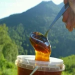 Honey Health Benefits for Humans and Purchase Condition in Bulk