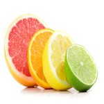 Purchase with Competitive Price and Origin and Distribution of Citrus