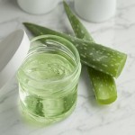 Bulk Purchase of Aloe vera Gel with the Best Conditions
