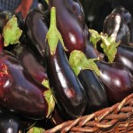 Eggplant Price List Wholesale and Economical