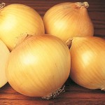 Learning to Buy Sweet Spanish Onion from Beginning to End