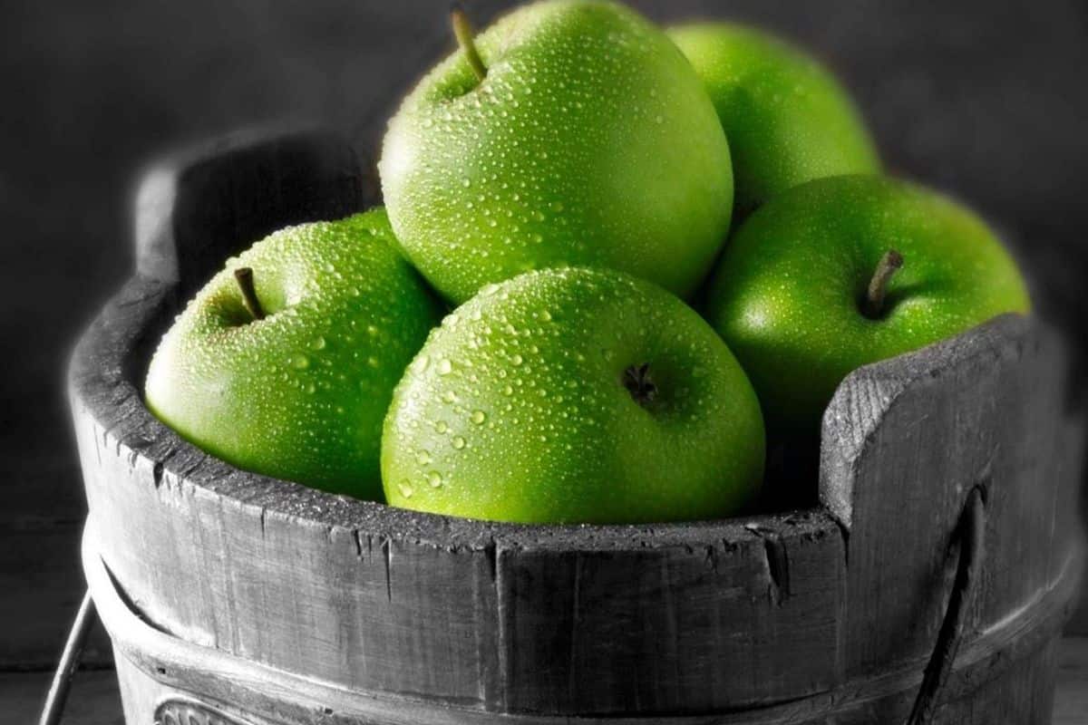 Buy all kinds of Green apple fruit +price