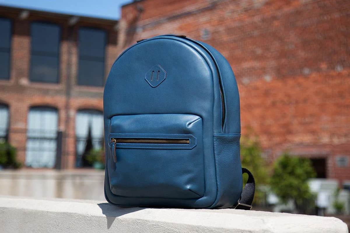 Blue Leather Back Pack Price