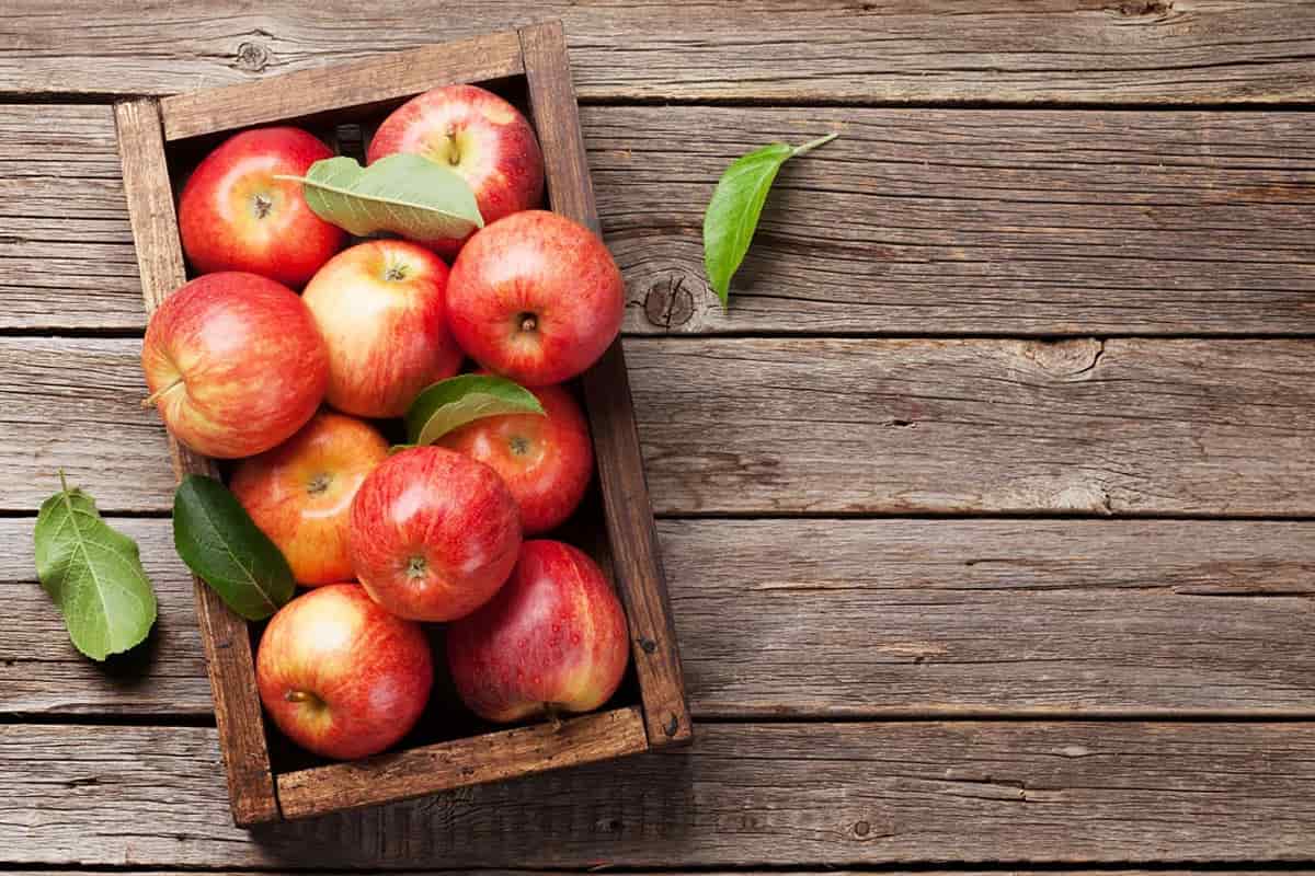 Apple Fruit Box Price