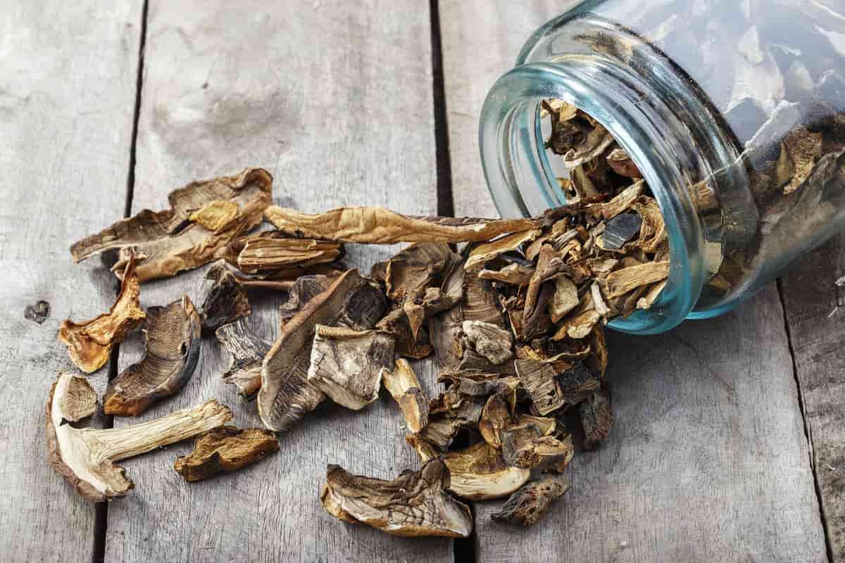 Dried Morel Mushrooms Price Per Pound