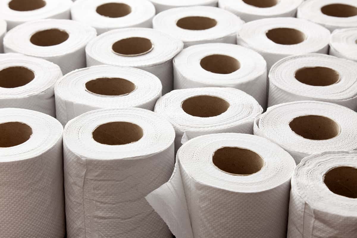 Paper Towel Price in Sri Lanka