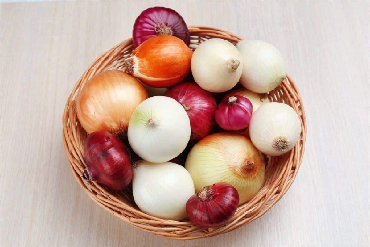 1 Kg Onion Price in India Today