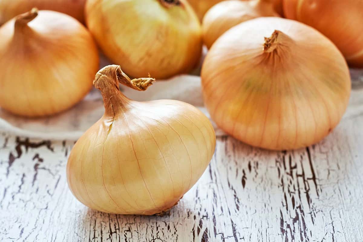 Organic Onion in India; Contains Flavonoids Sulfur Quercetin Skin Hair Miracle