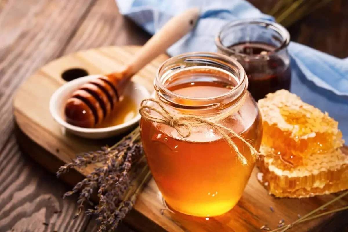 Langnese Honey Price in Saudi Arabia