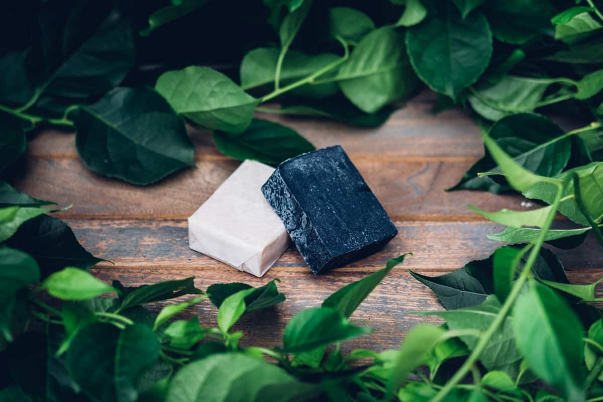 Charcoal Soap Price in India