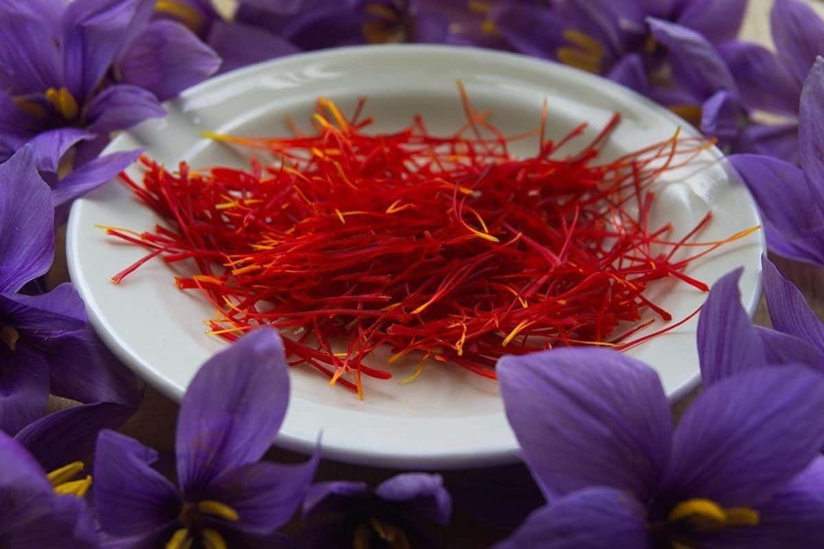 Fermond Saffron Price in Uae