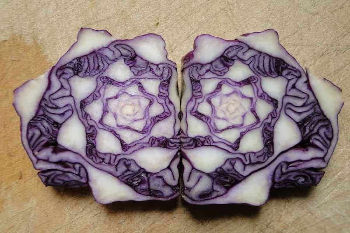 Red Cabbage (Brassica Family) Vitamins Minerals Phytochemicals