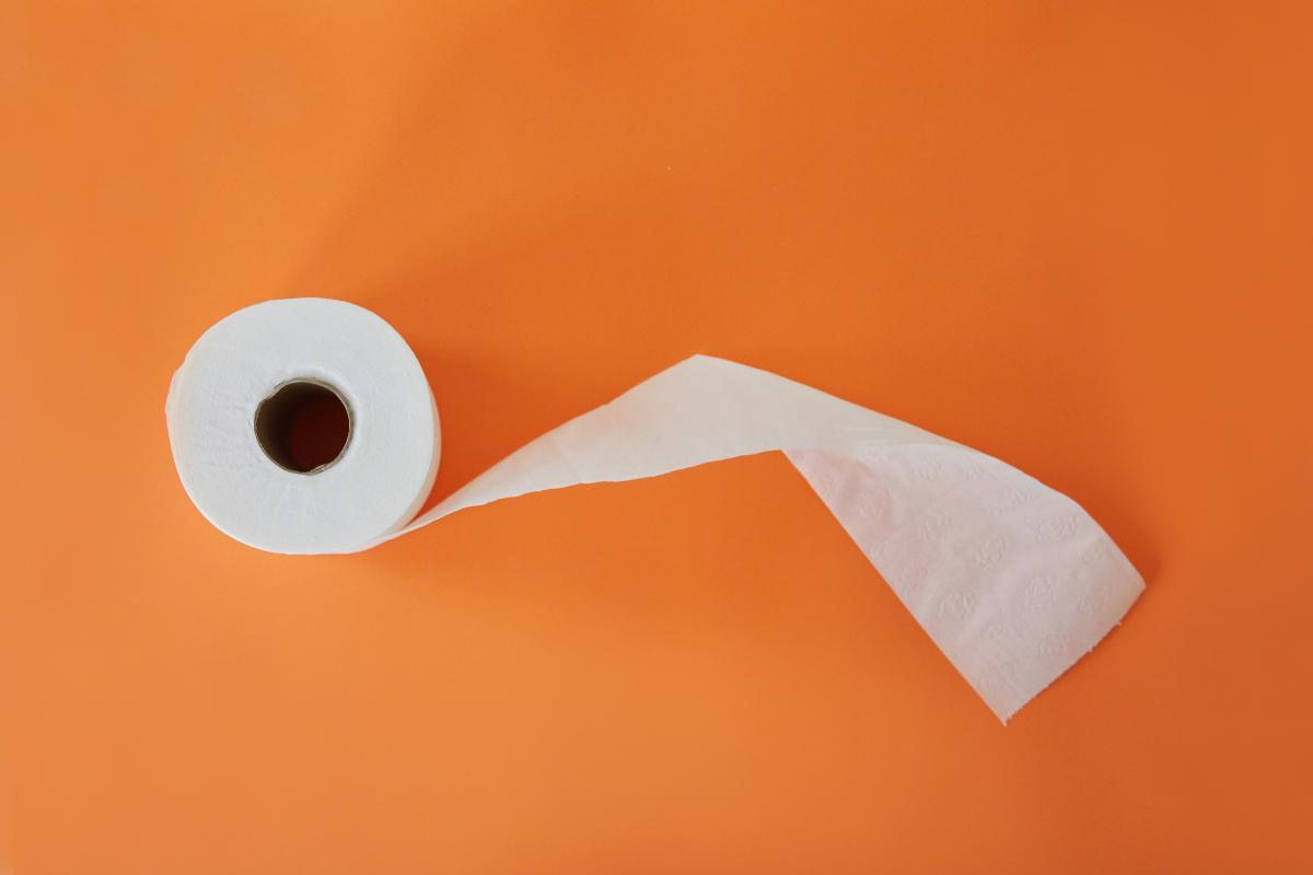 Paper Towel (Sanitary) Chlorine Free High Quality Perforation Different Types