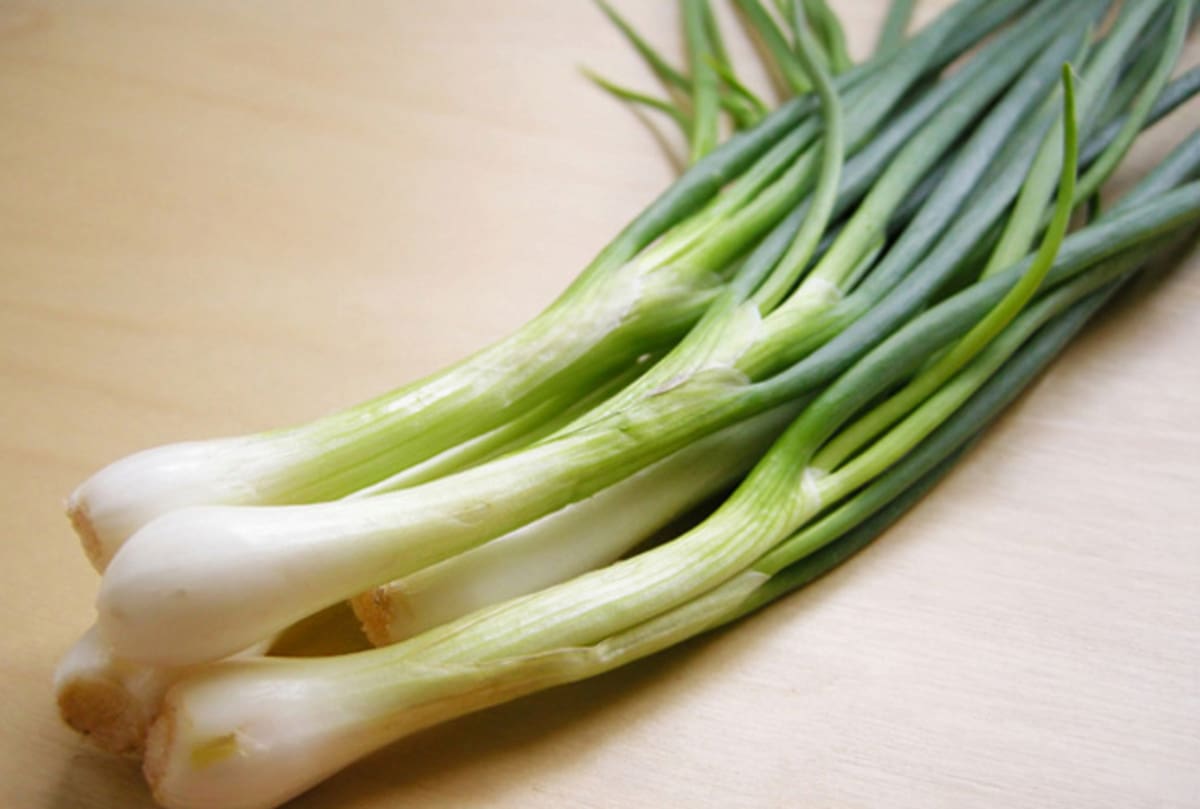 Spring Onion (Leek Family) Antioxidants Flavonoids Vitamins Increases Hair Growth