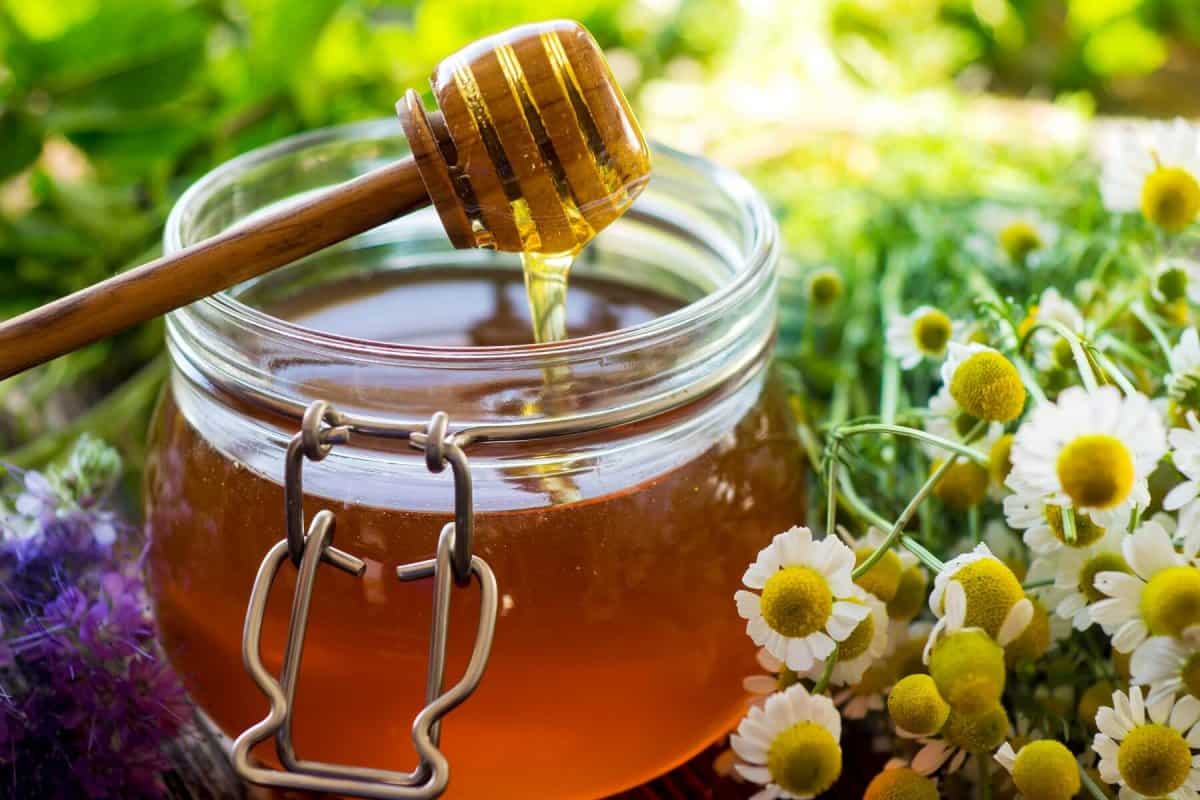 Elvish Honey; Golden Nutrients Minerals Worth Expensive Nectar Specific Plants