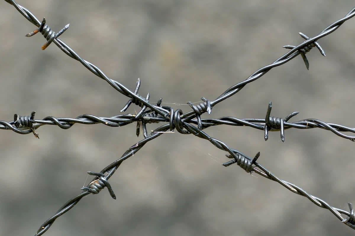 Builders Barbed Wire; Galvanizes Steel Wire Tear Resistant Different Thickness