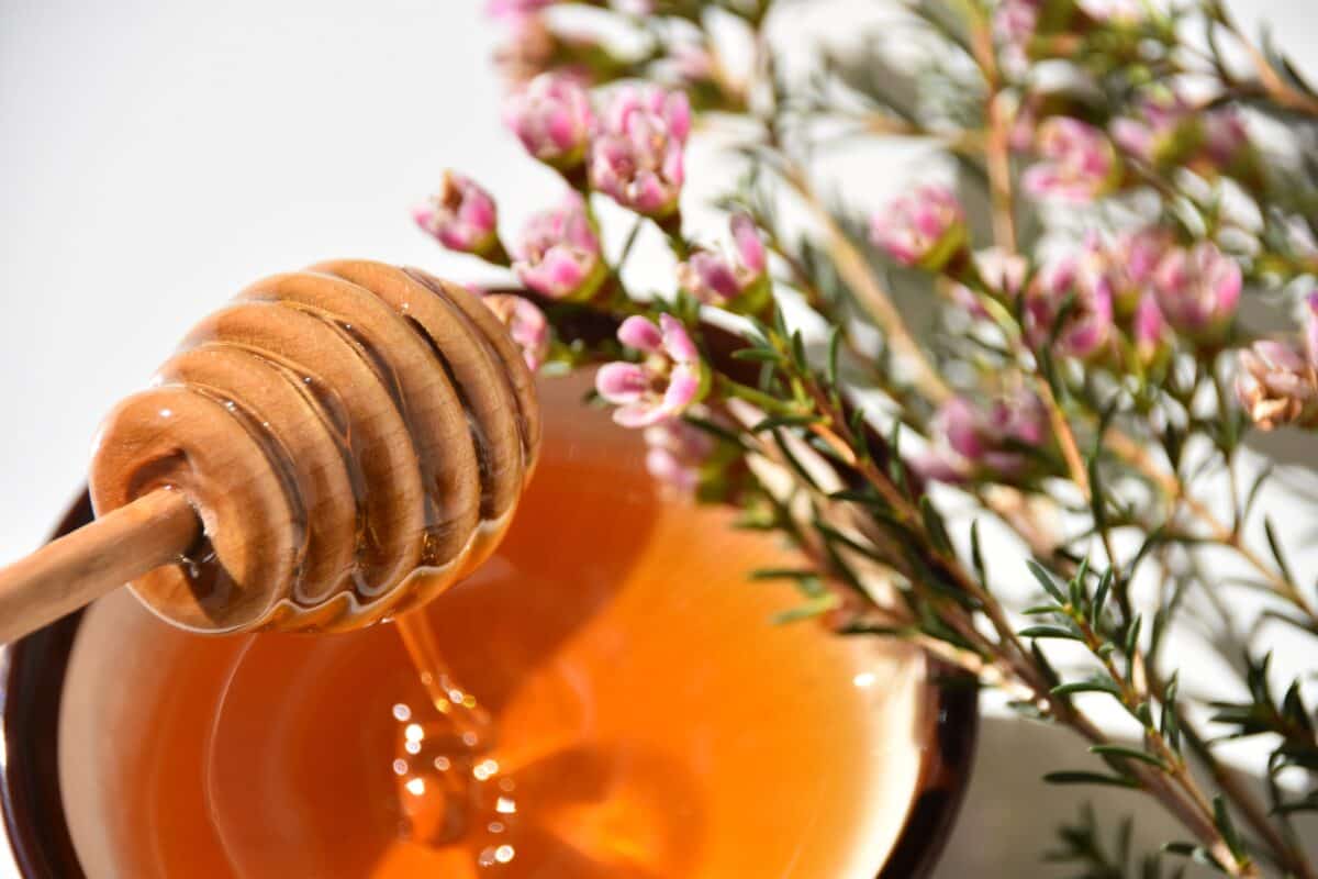Raw Honey; Medicine Cosmetic Skin Hair Care Industry Fields Uses